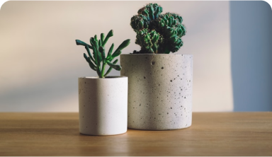 Understanding the Japanese Art of Flower Arrangement