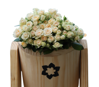 Pearl spray roses