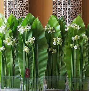 Event Decoration 4